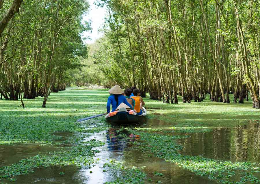 The Mekong Delta 1